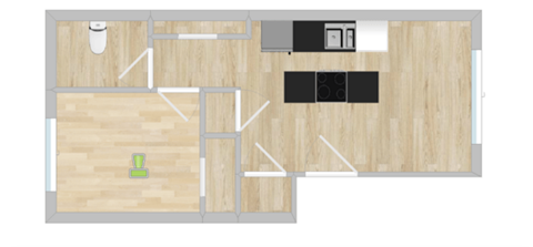 1 Bedroom 1 Bathroom Floor Plan